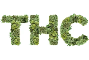 Weed For Sale In Cambodia