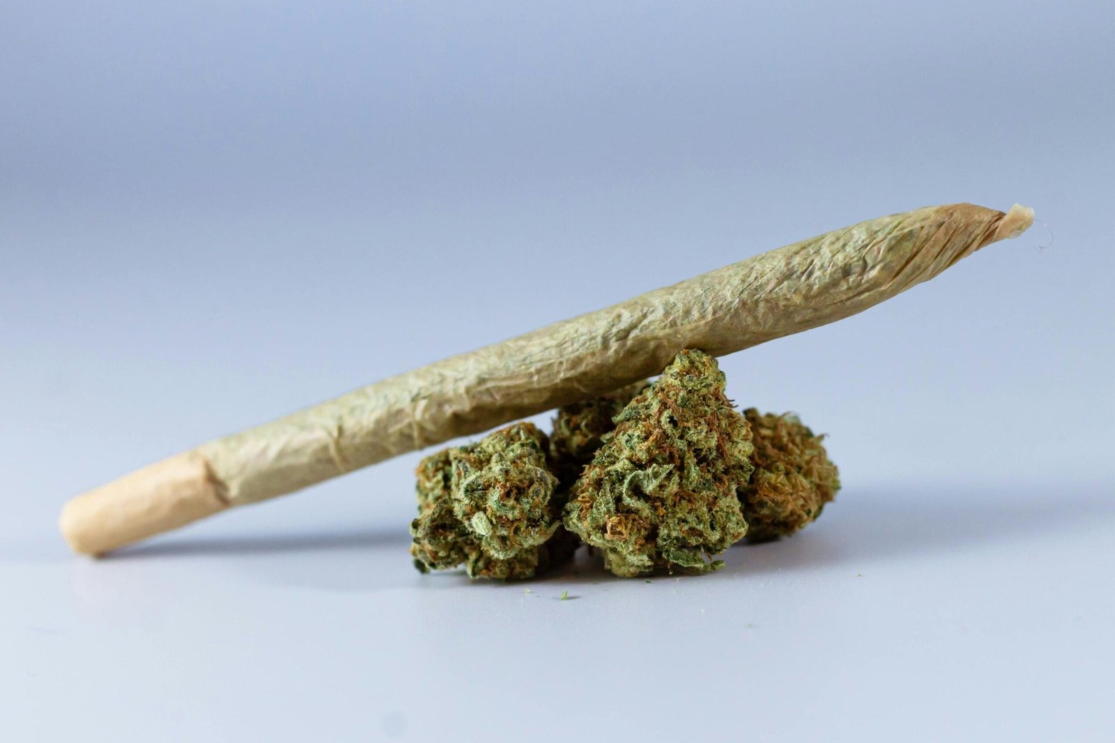 Weed For Sale In Cambodia